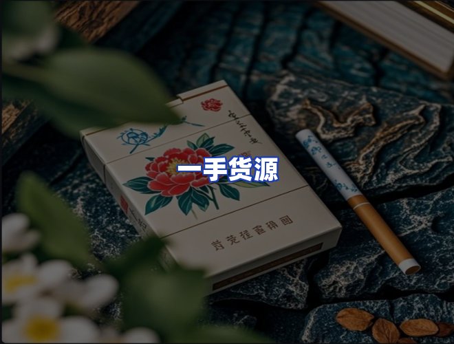 专业团队